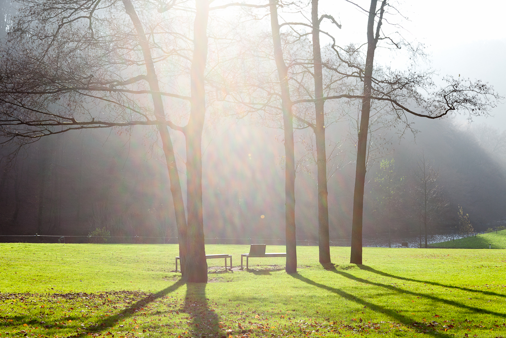 schwirrende Sonne